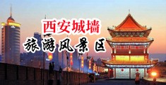 草逼视频每日更新网站中国陕西-西安城墙旅游风景区