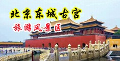 嗯,啊鸡吧插入穴在线播放中国北京-东城古宫旅游风景区